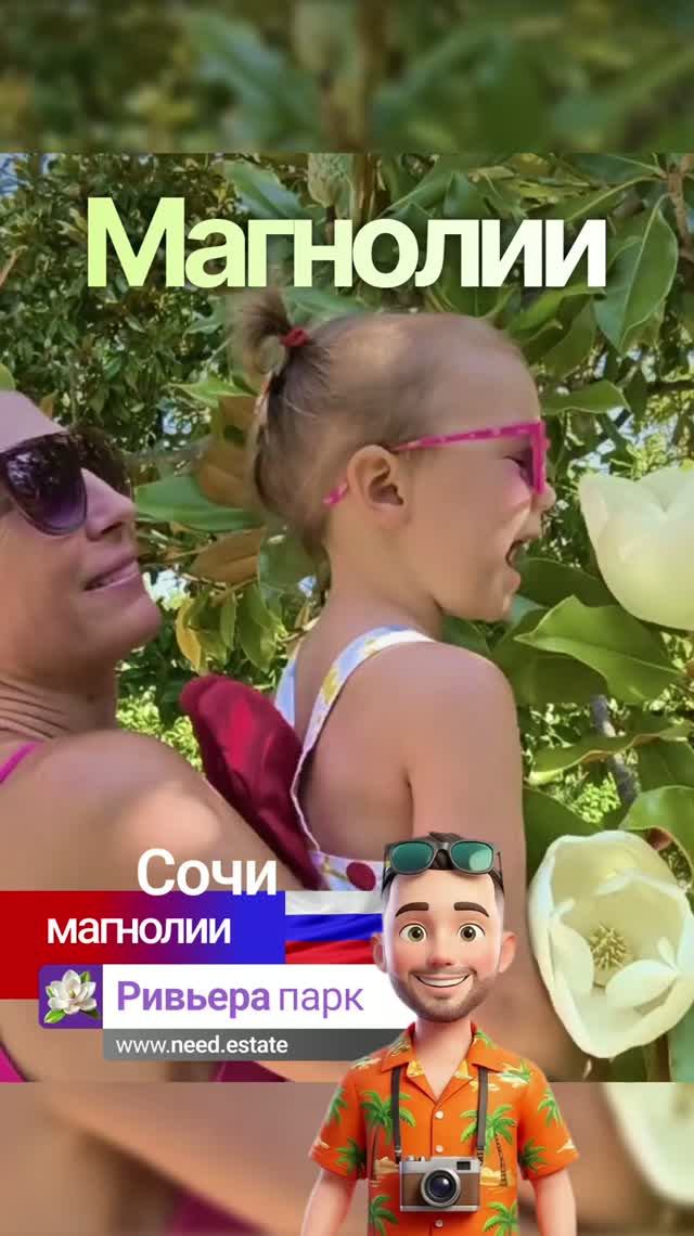 Сочи 🌸 магнолии в цвету