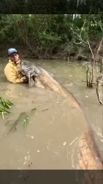 Рыбак и Сом. Дружба не разлей вода!.