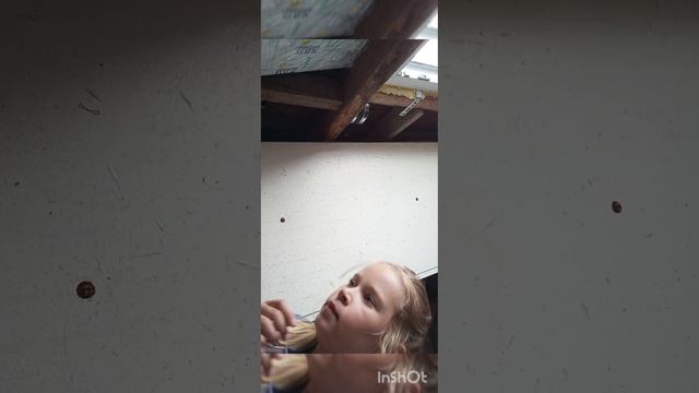 пранкуем брата🤟