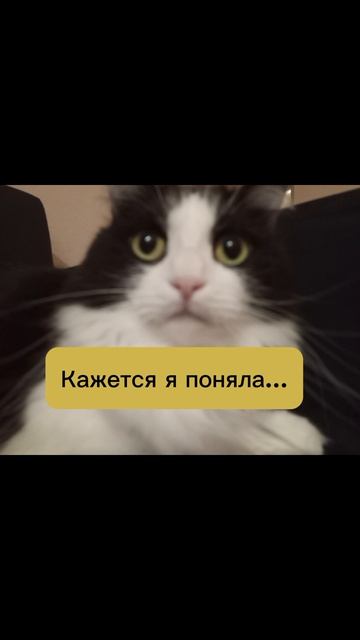 Моё старое видео. Простенько, но здорово))