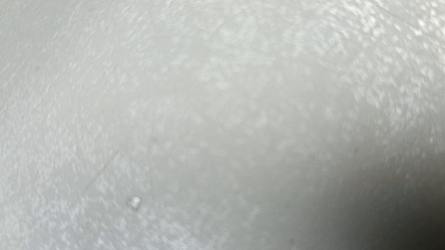 1000003705.mp4