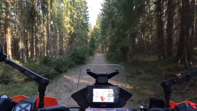 #38-2 Лесная тропинка в Агалатово вдоль р. Охта | KTM 390 Adventure SW