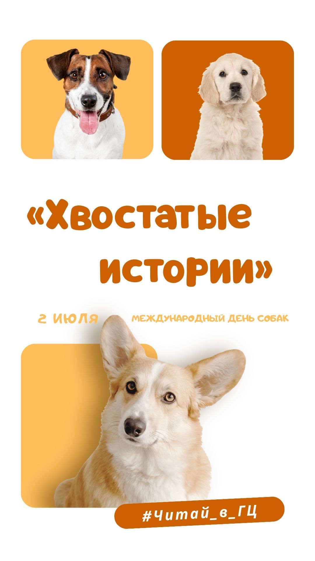 Хвостатые историии