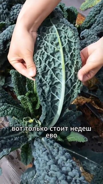 #Наука #Узнай