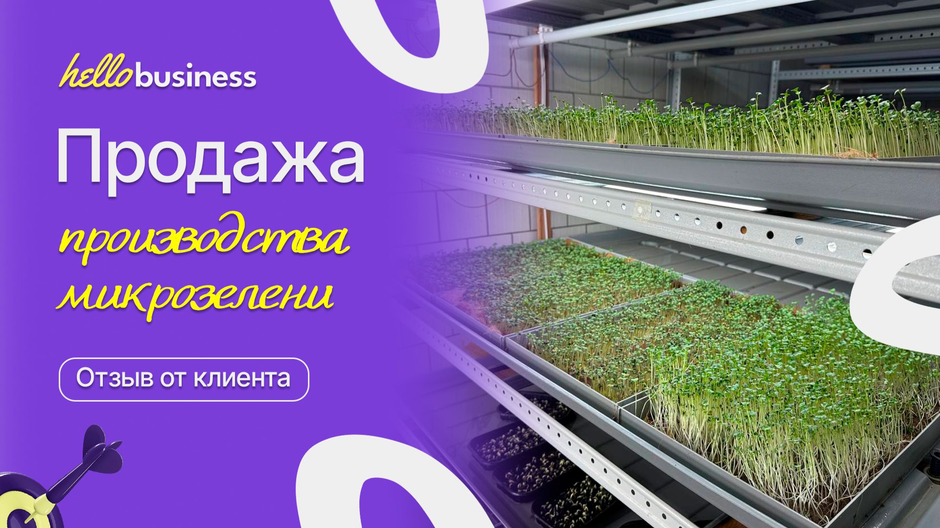 Продажа производства микрозелени
