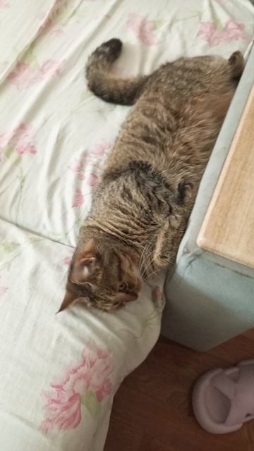 💞Мотя💞