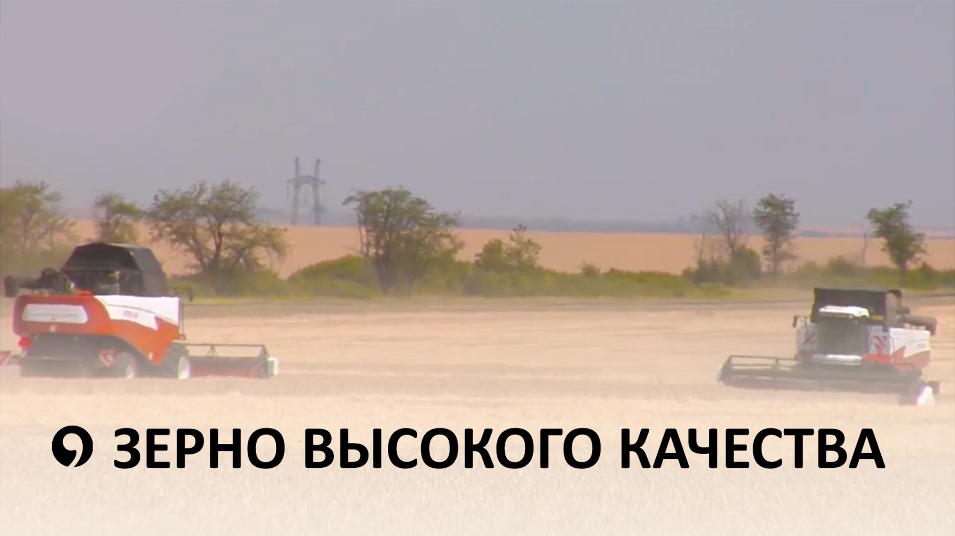 На Ставрополье продолжается уборочная компания