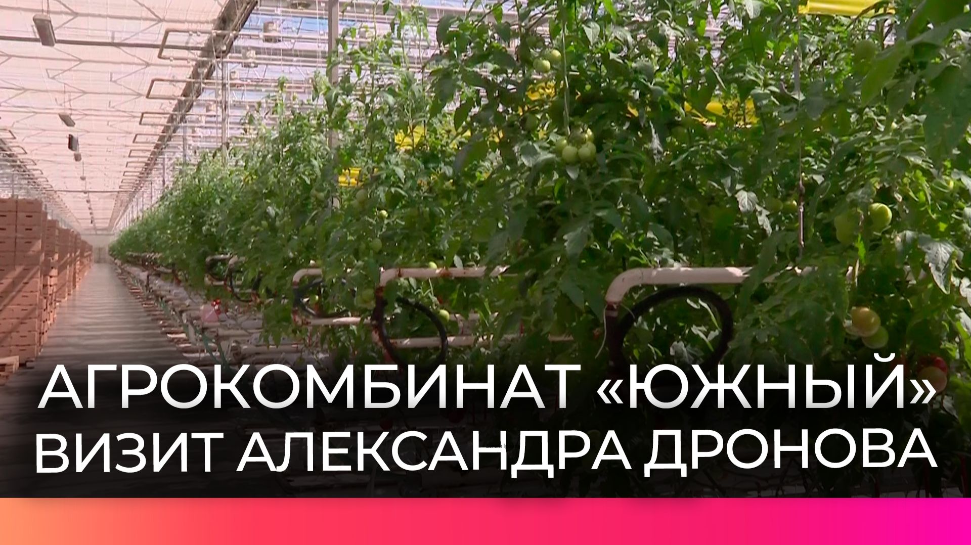 Губернатор Александр Дронов посетил новгородский агрокомбинат «Южный»