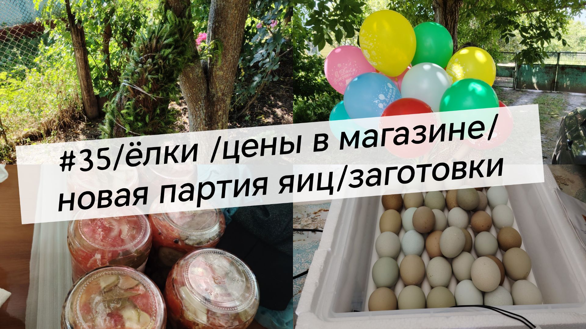 #35/ёлки /цены в магазине/новая партия яиц/заготовки/дом в Краснодарском крае