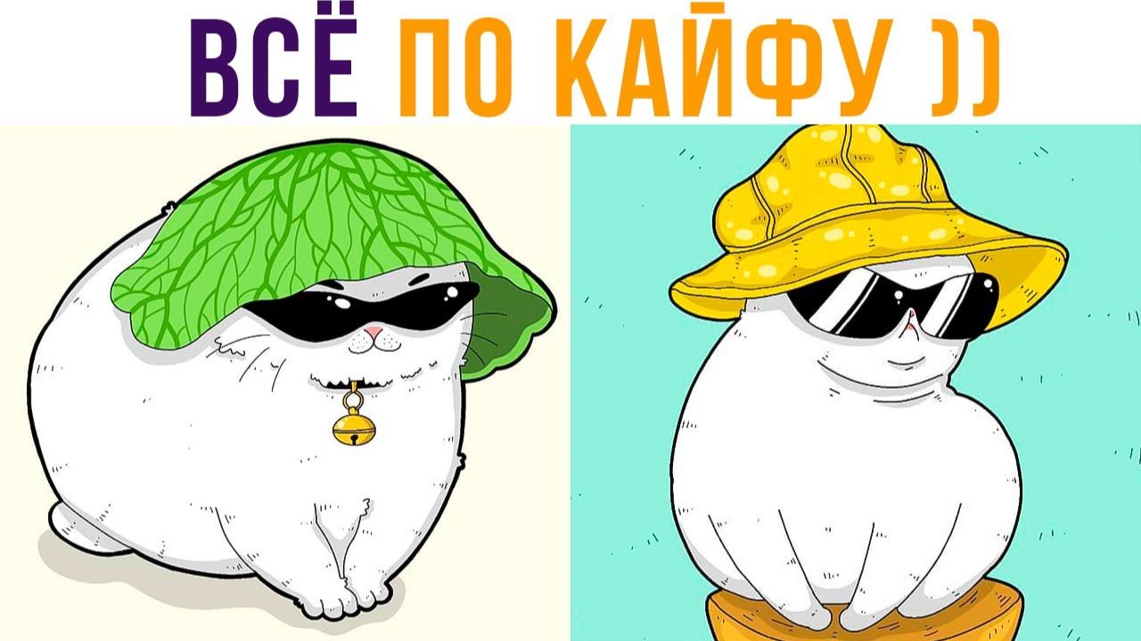 МОДНЫЕ ШАПОЧКИ ОТ ЖАРЫ)) Приколы с котами