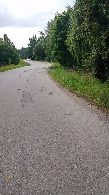 Розовый Бор, деревня Прудно 21.07.26.