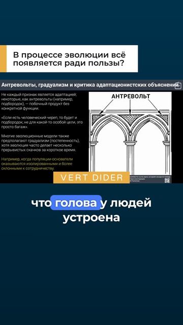 В процессе эволюции всё появляется ради пользы?