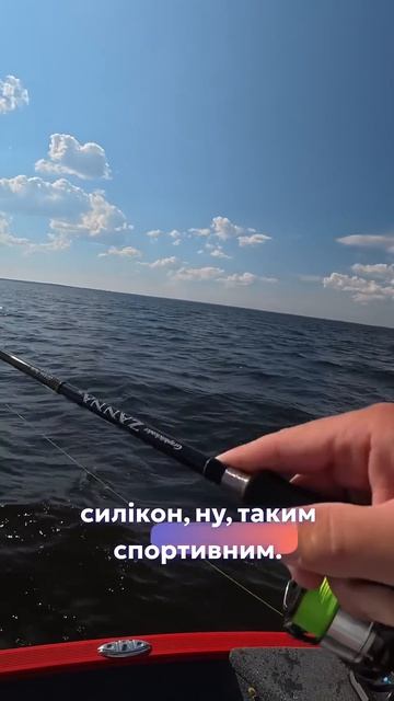 TOP 3 приманки на Судака #beregfishing #carpfishing #спінінг #fishing #галаш