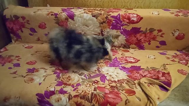 Ночная туса! Июль на полную! Белла заводит!
