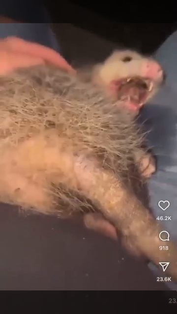 Девушки: «мне так тяжело заводить друзей». Парни, бахнув пивка: 😁😁😁