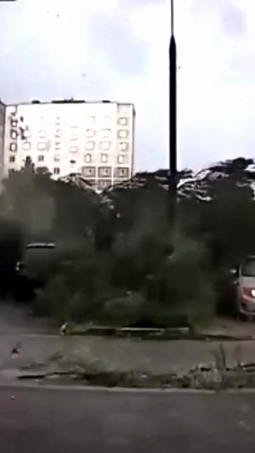 Ужас на стоянке в Москве