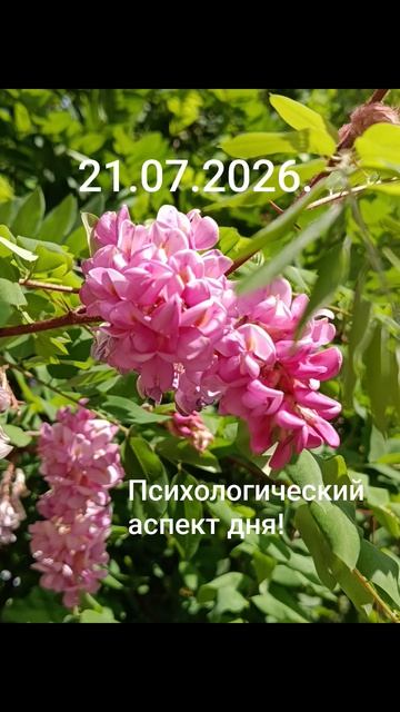 21.07.2026.✨🌈☀️Психологический аспект дня! Стратегии... Дорога к успеху!#разум #чувства #душа #дела