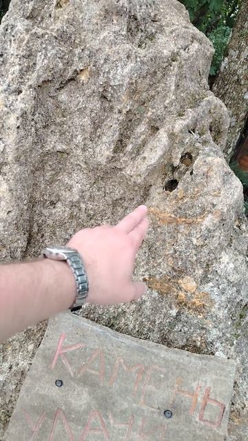 3864.mp4