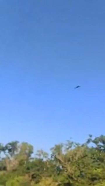 Новый Герань-4 сикер