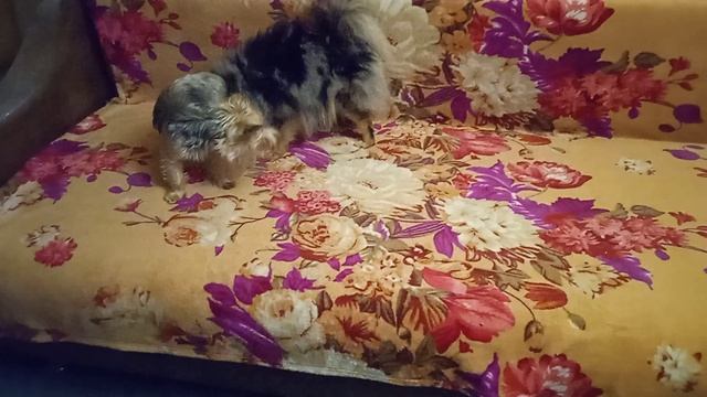Ночной отрыв! Июльское безумие!