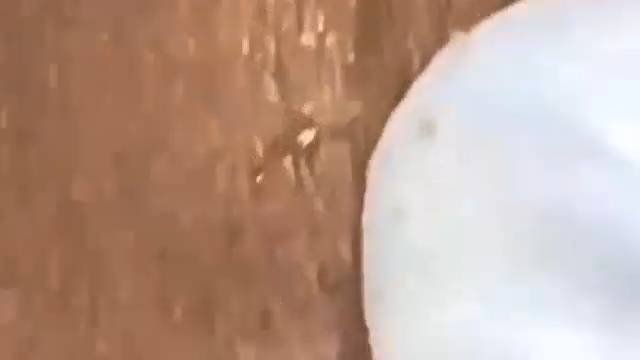 Уборка и украшение: мотивация