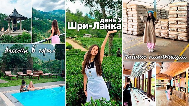 РАБОТАЮ на ПЛАНТАЦИИ/ купаюсь в БАССЕЙНЕ 😍 Мои КАНИКУЛЫ на Шри-Ланке🌴