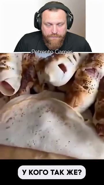 Петренто кухня петренто petrento реакция прикол приколы мем мемы юмор смех memes funny