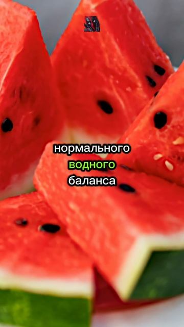 Почему 99% людей выбрасывают семена арбуза!¿?! 😼🫶😎