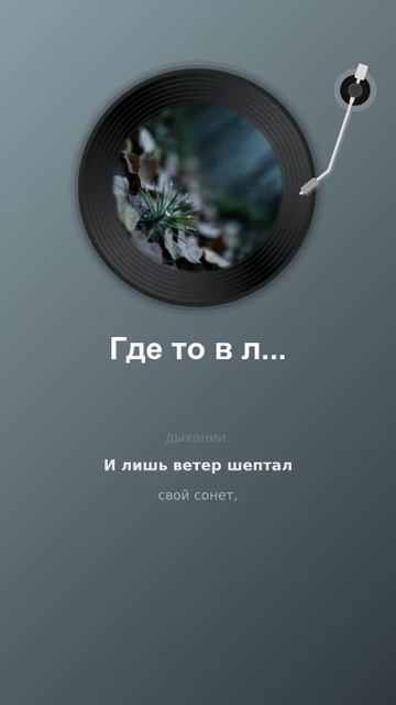 Чувства