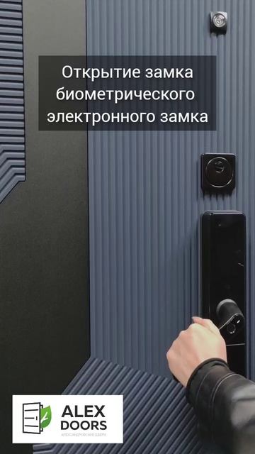 Дверь с электронным замком. Модель Alex Doors Электроник Бистури