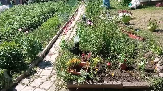 Секретный объект подлежащий  ликвидации. Плоды созрели!