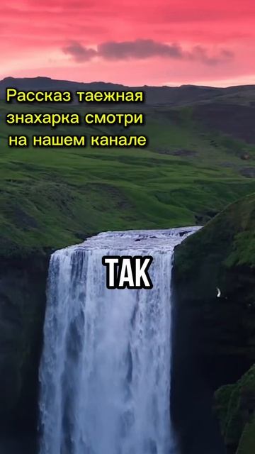 Таежная ЗНАХАРКА