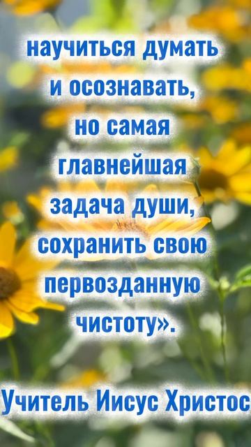 Главная задача души