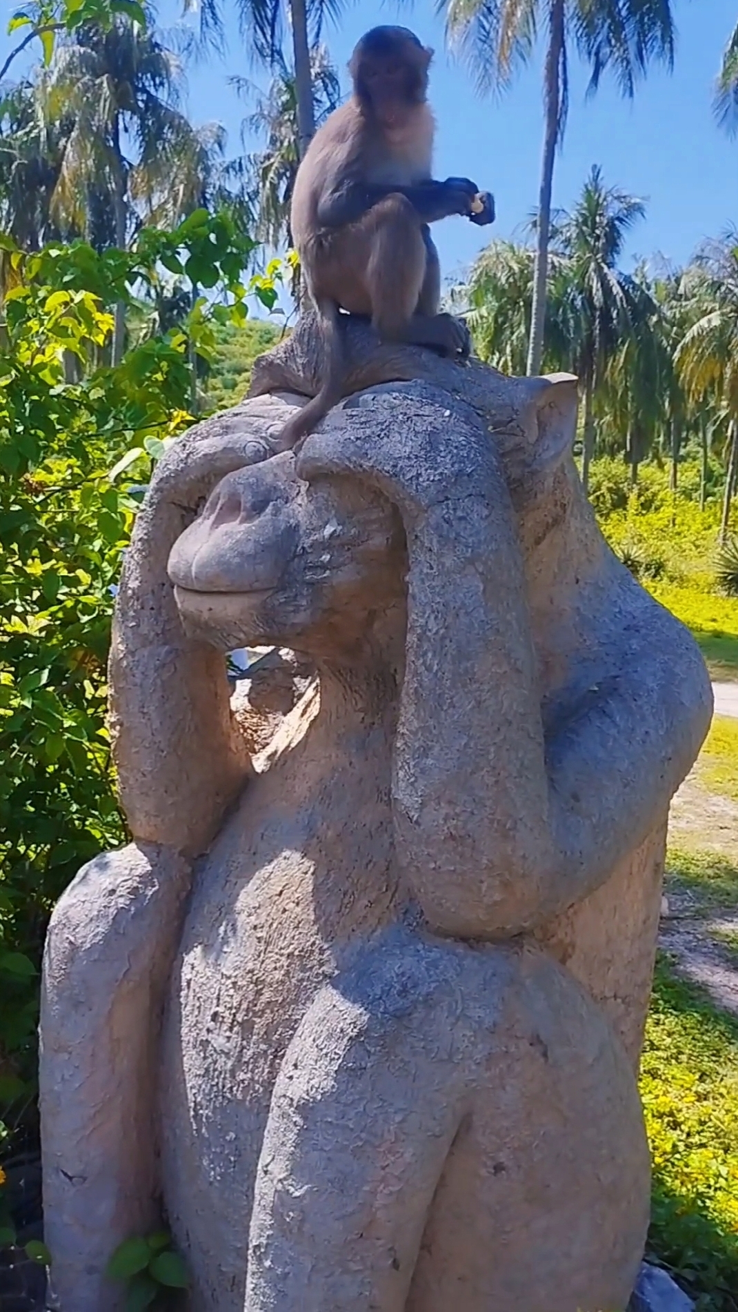 Обезьянка-варюга 🐒