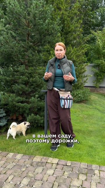 СТРАШНЫЙ ВРЕДИТЕЛЬ В САДУ - СОБАКА