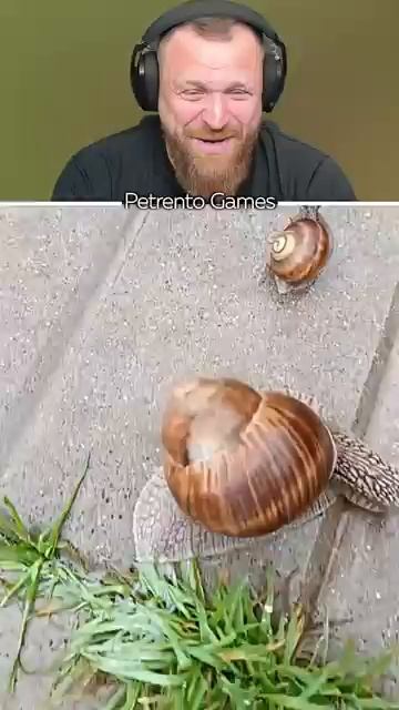 Петренто улитки петренто petrento реакция прикол приколы мем мемы юмор смех memes funny
