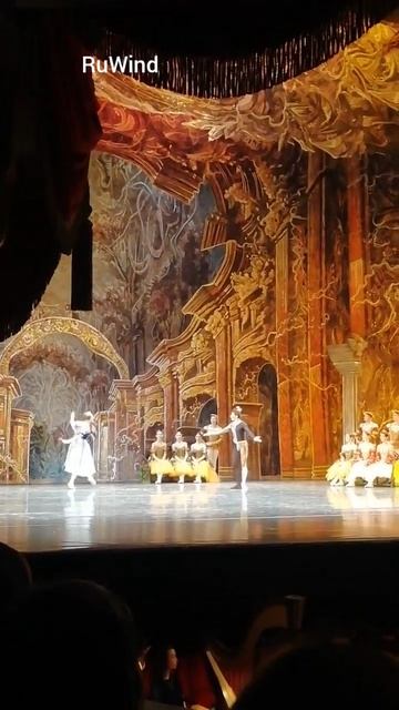 Kazan! Опера _ Лебединое озеро 🦢!кому нравится лайк и подписка!