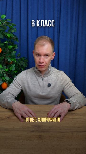 В КАКОМ КЛАССЕ ТЕБЯ БЫ ОТЧИСЛИЛИ?