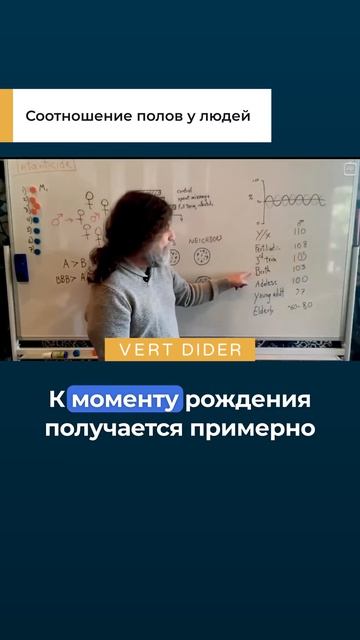Соотношение полов у людей