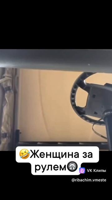 Женщина за рулем