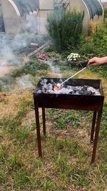 Шашлыки
