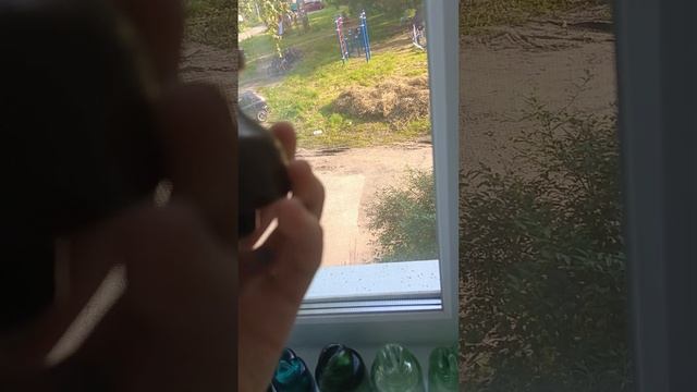 городская часть коллекции