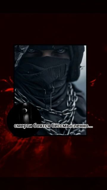 Смерти боятся бессмысленно _