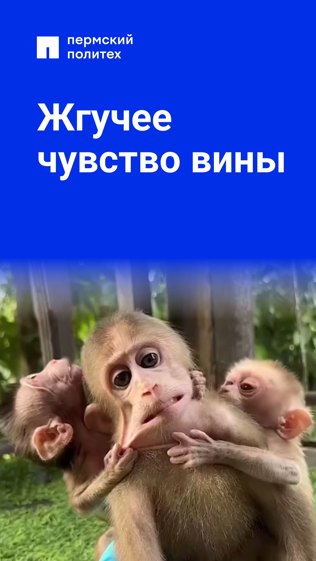 Жгучее чувство вины