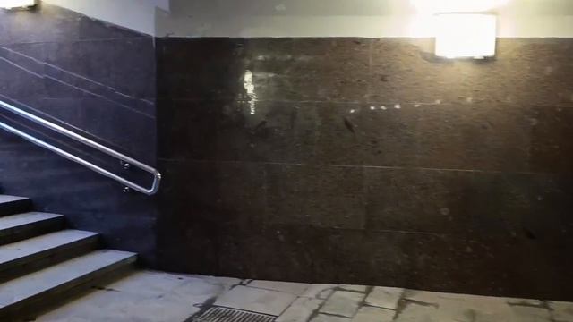 Новые дорожные знаки стоят на будущей объездной дороге около площадки Липецкая Бирюлёвской линии
