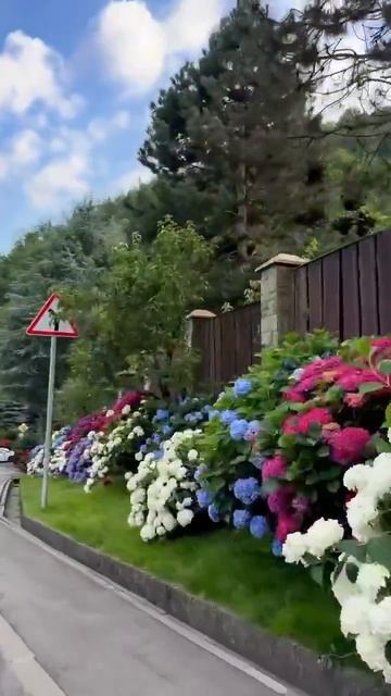 Сочи, Красная поляна