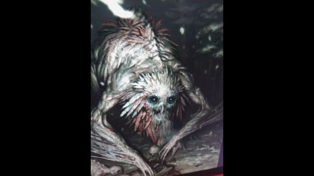 86981312-b932-4bc6-af1f-2327ba799c0d-1_all_302.mp4