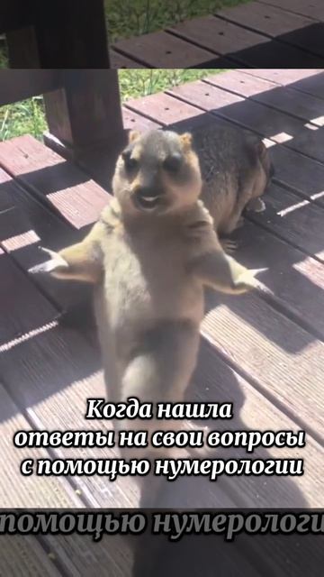 Нумерология