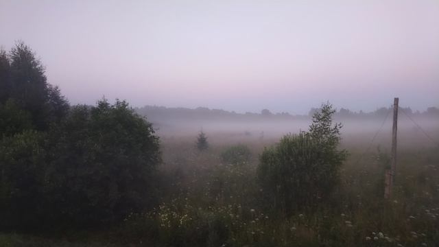 Туман с полей
