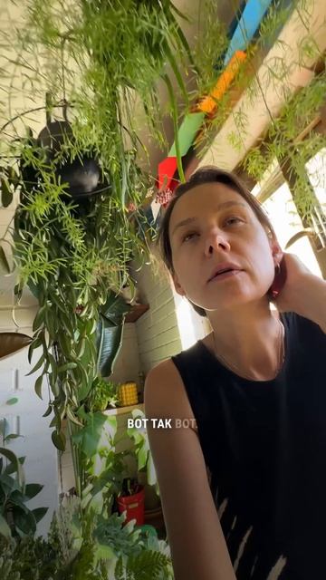Цветочные новости 🌸